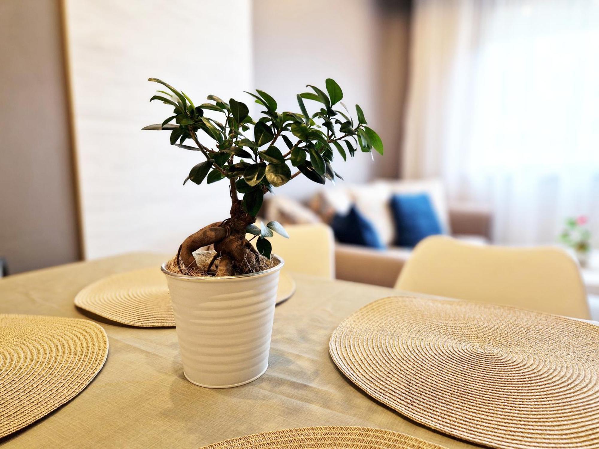Central Apartment - Spacious Designer Property In Sztara Zagora Kültér fotó